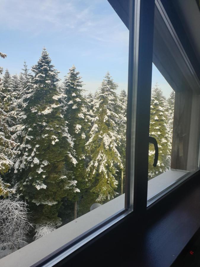 Borovets Forest View 외부 사진
