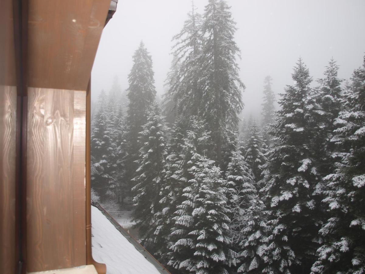 Borovets Forest View 외부 사진