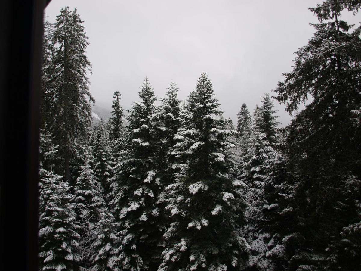 Borovets Forest View 외부 사진
